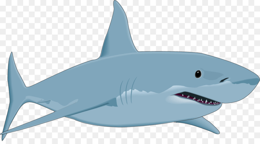 Great white shark Drawing Clip art - sharks png download - 1023*557 - Free Transparent Shark png Download.