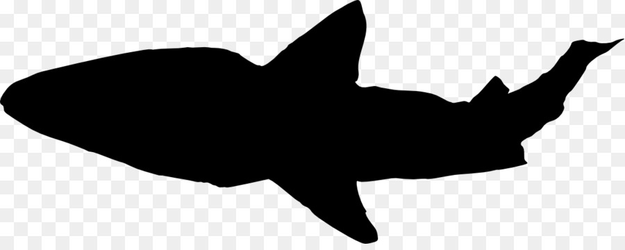 Shark Jaws Silhouette Clip art - Shark head png download - 1125*439 - Free Transparent Shark png Download.