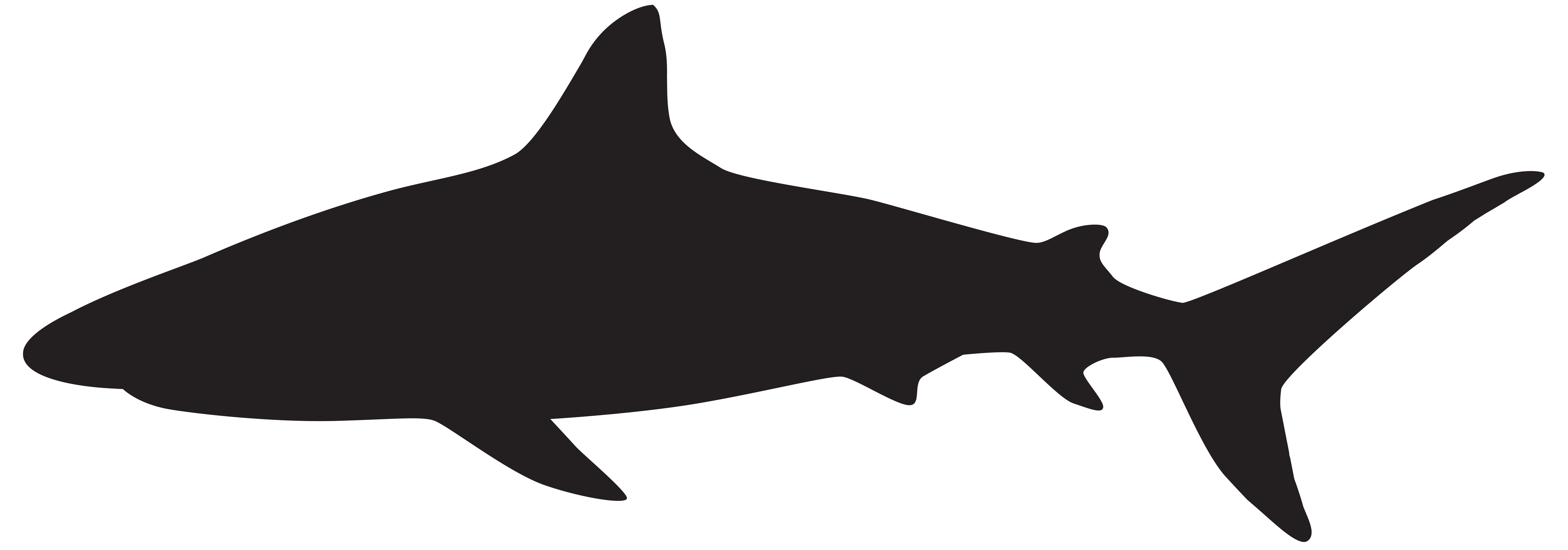 Great white shark Silhouette Clip art - sharks png download - 8000*2808 ...