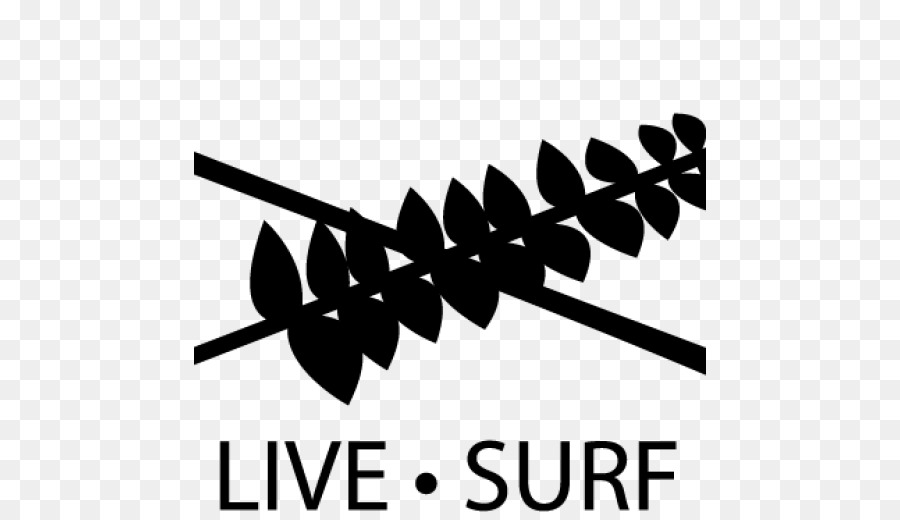Real Surfing Photography Metro Manila Wave - surf png download - 512*512 - Free Transparent Real png Download.