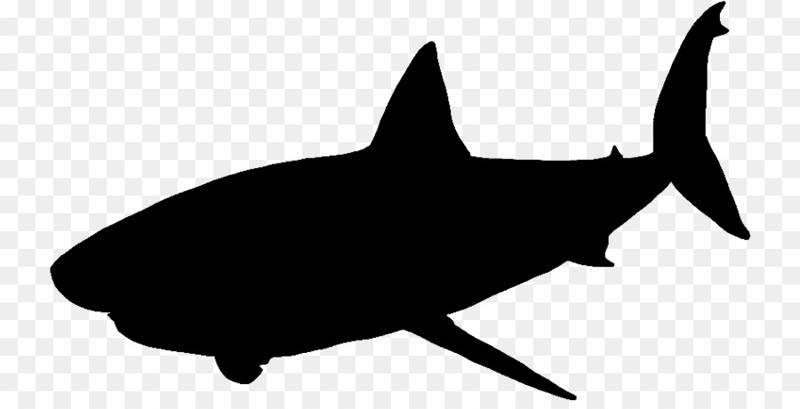 Great white shark Vector graphics Portable Network Graphics Silhouette - baby shark silhouette png grandpa png download - 790*451 - Free Transparent Shark png Download.