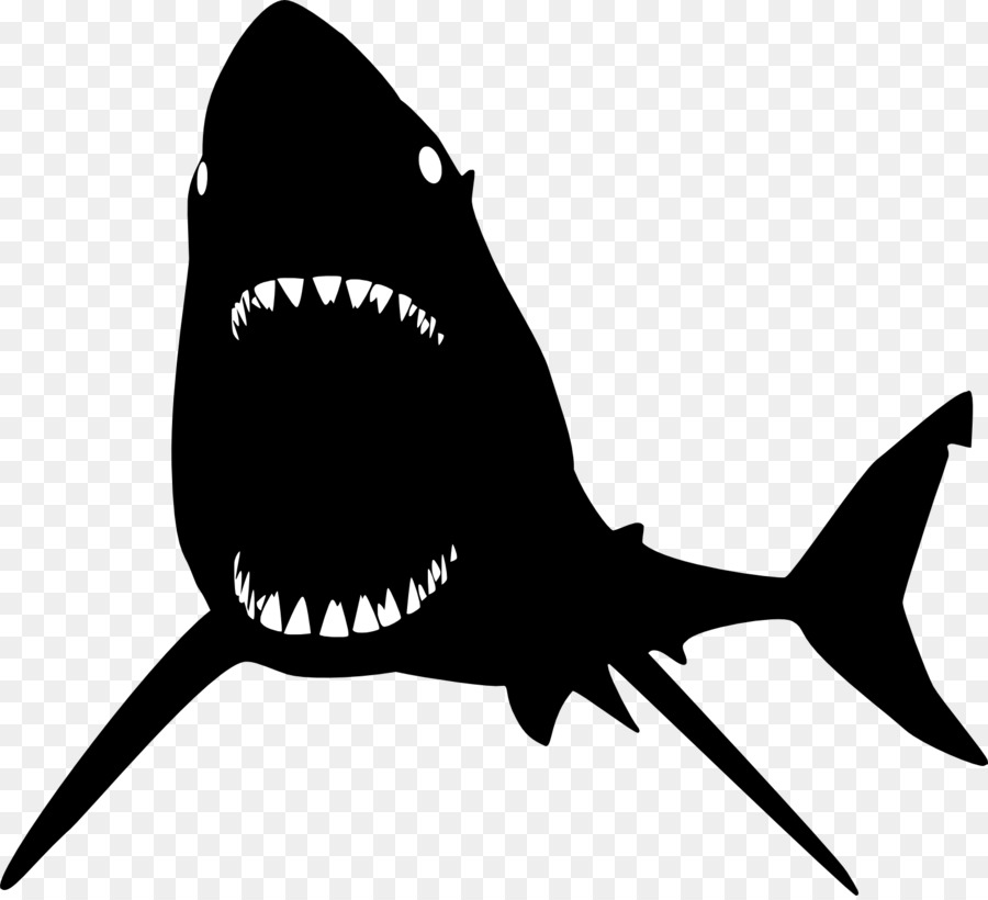 Blue shark Mouth - sharks png download - 1577*1430 - Free Transparent Shark png Download.