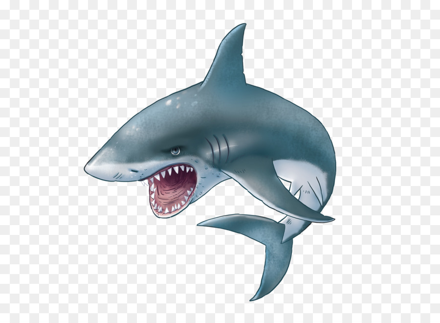 Hungry Shark Evolution Great white shark Clip art - Shark PNG png download - 1462*1442 - Free Transparent Shark png Download.