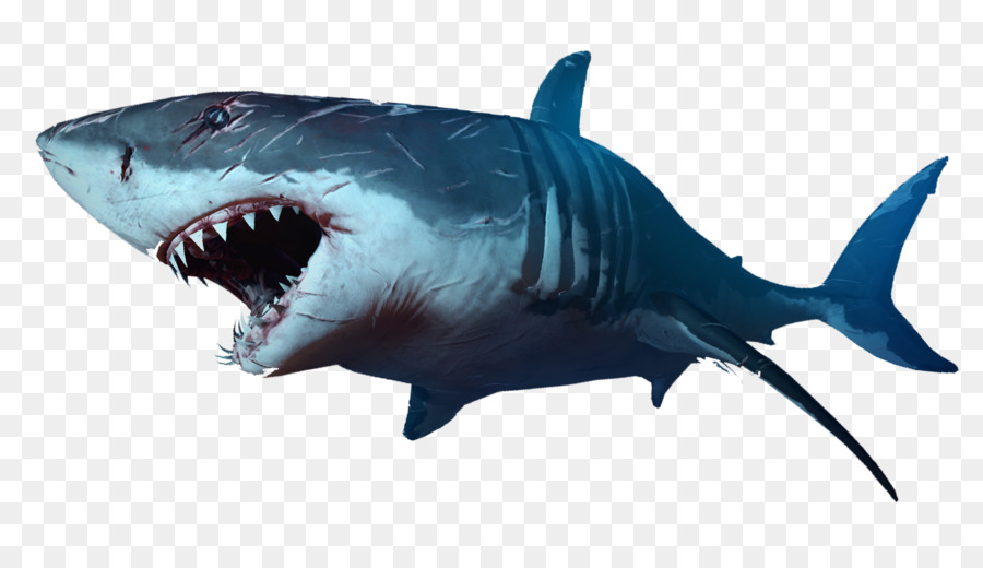 Shark Jaws Clip art - sharks png download - 1920*1080 - Free Transparent Shark Jaws png Download.