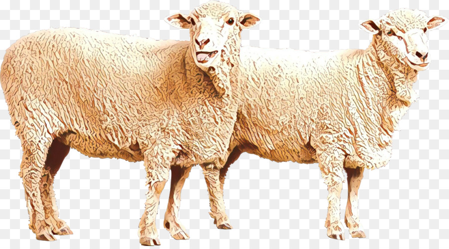 Sheep Goat Clip art Image Illustration -  png download - 1600*879 - Free Transparent Eid Al Adha png Download.