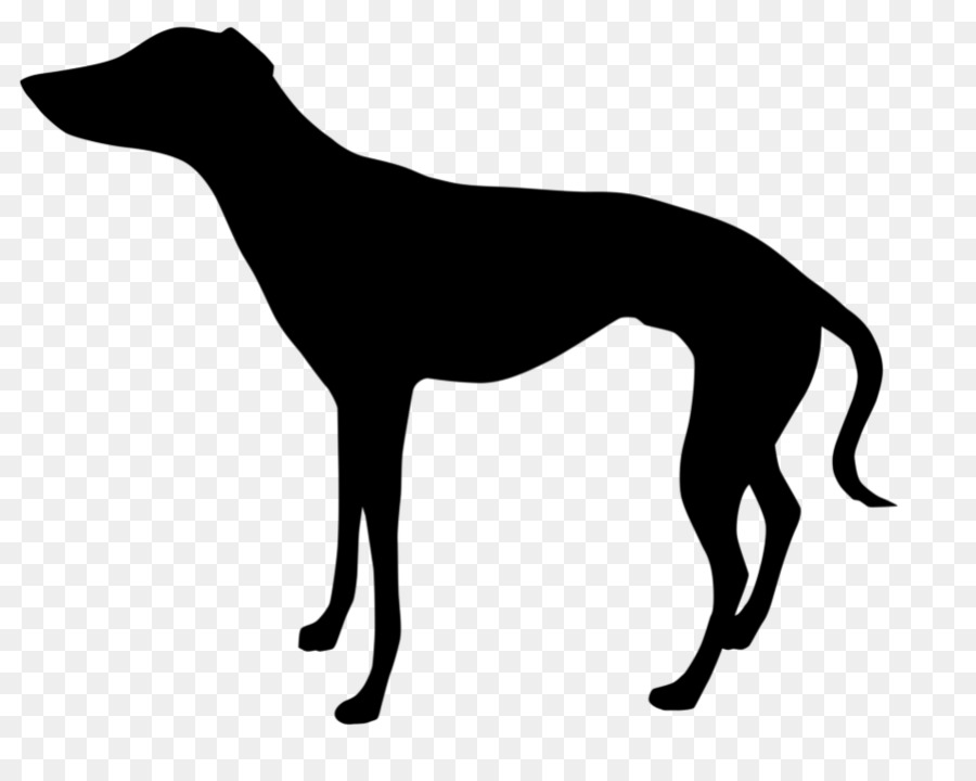 Italian Greyhound Whippet Clip art Silhouette -  png download - 954*759 - Free Transparent Greyhound png Download.