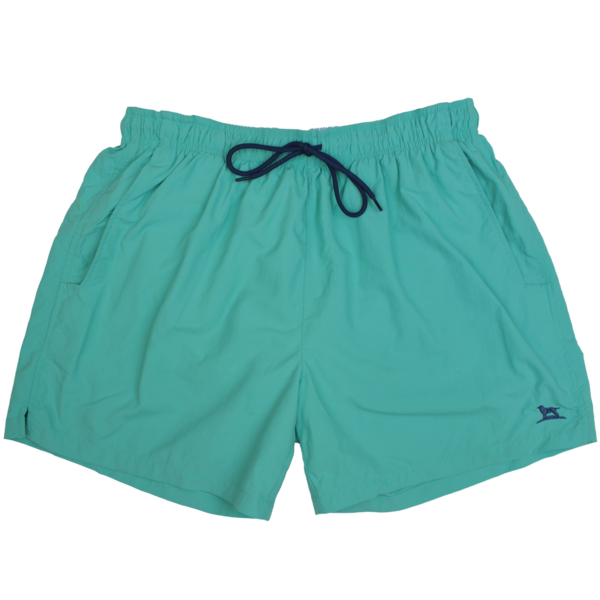 Trunks Swim briefs Bermuda shorts Underpants - swimming trunks png ...