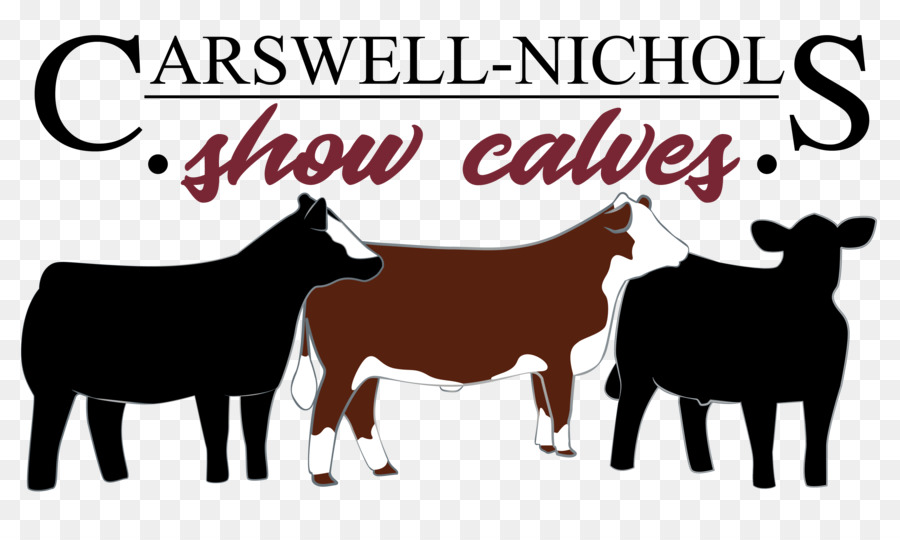 Dairy cattle Hereford cattle Sheep Horse Livestock show - sheep png download - 3839*2240 - Free Transparent Dairy Cattle png Download.