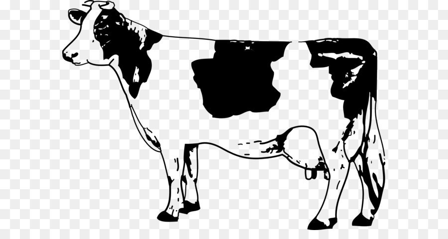 Cattle Calf Clip art - Cow Png Image png download - 1969*1401 - Free Transparent Angus Cattle png Download.