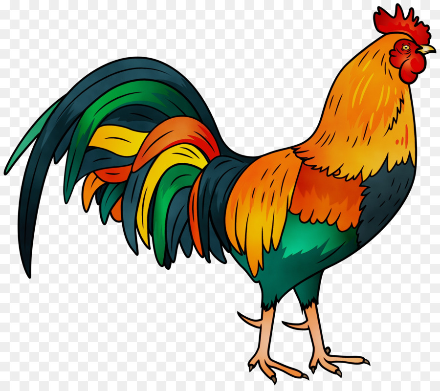 Rooster Chicken Adhan Pet Animal -  png download - 3000*2650 - Free Transparent Rooster png Download.