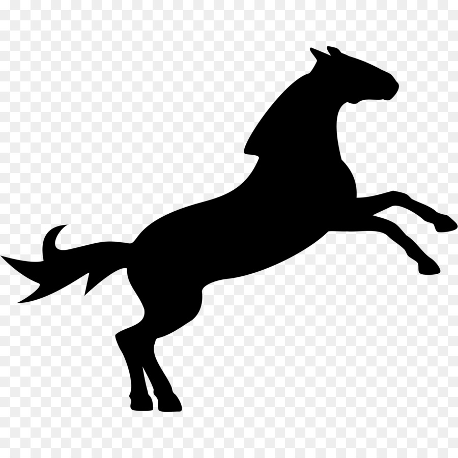 Horse Show jumping Equestrian Clip art - horses clipart png download - 2400*2400 - Free Transparent Horse png Download.