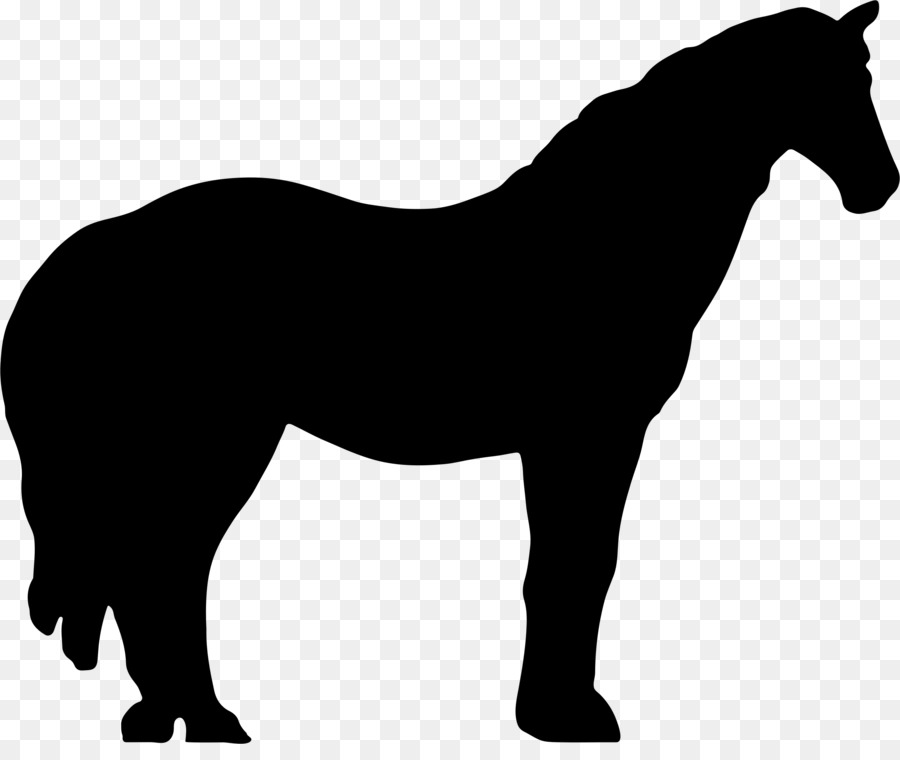 Irish Wolfhound Horse Silhouette - horse png download - 2306*1906 - Free Transparent Irish Wolfhound png Download.