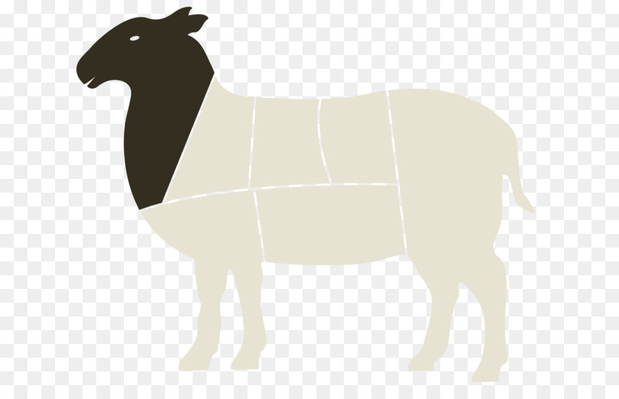 Sheep Horse Cattle Mammal Camel - lamb face silhouette png transparent background png download - 1600*1000 - Free Transparent Sheep png Download.