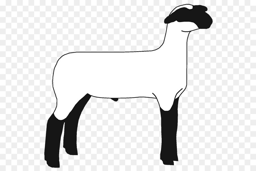 Suffolk sheep Hampshire sheep Clip art Boer goat Openclipart - sheep breeders png download - 620*600 - Free Transparent Suffolk Sheep png Download.