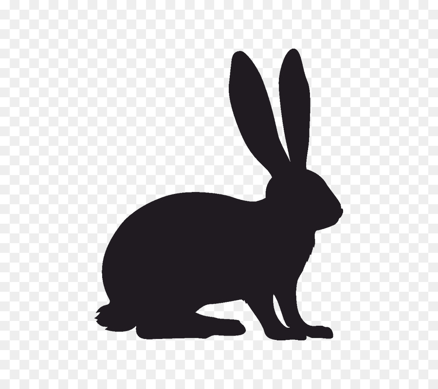 Hare Easter Bunny Rabbit Clip art - rabbit png download - 800*800 - Free Transparent Hare png Download.