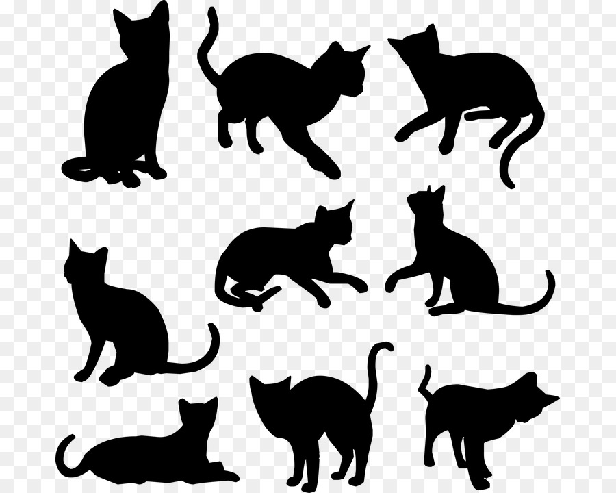 Kitten Siamese cat Pet Black cat Clip art - kitten png download - 737*720 - Free Transparent Kitten png Download.