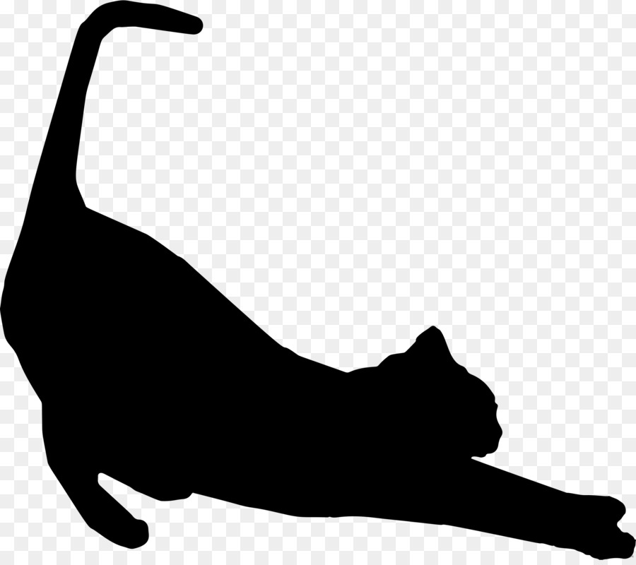 Cat Protection Society of Victoria Siamese cat Kitten Silhouette Stretching - kitten png download - 2300*2026 - Free Transparent Cat Protection Society Of Victoria png Download.