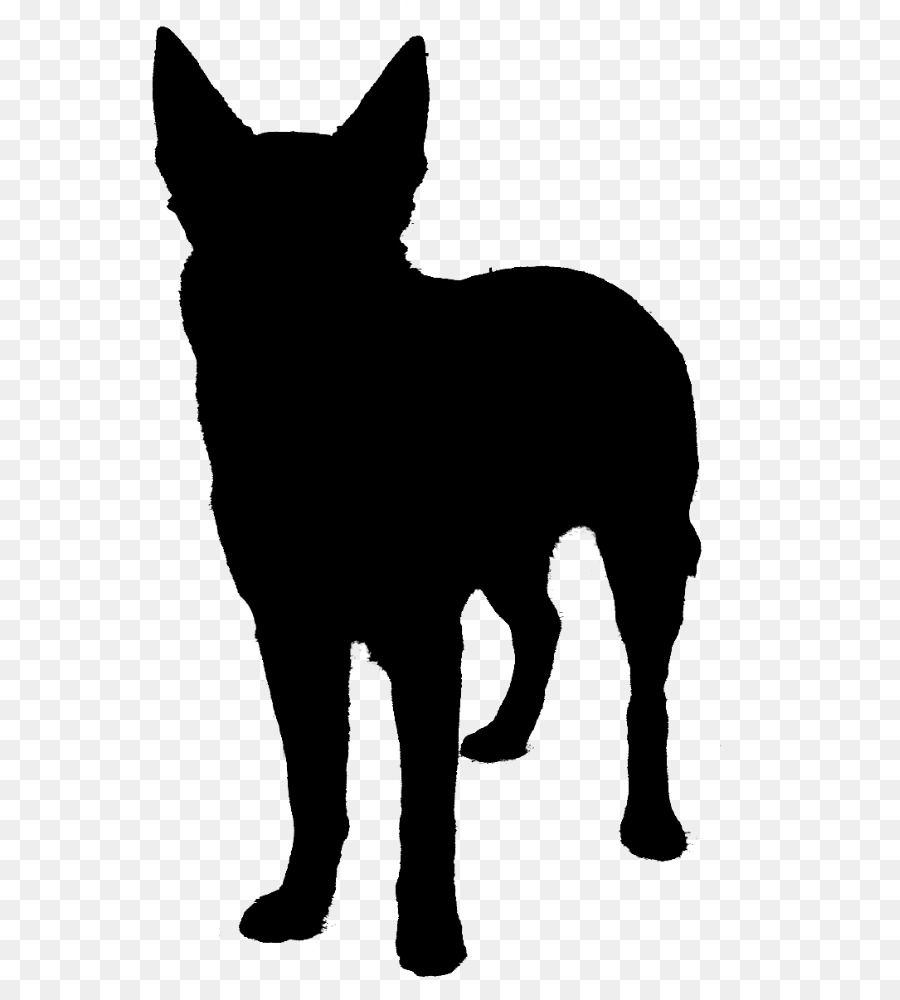 Dog breed Can Stock Photo Silhouette Image Siberian Husky -  png download - 627*1000 - Free Transparent Dog Breed png Download.