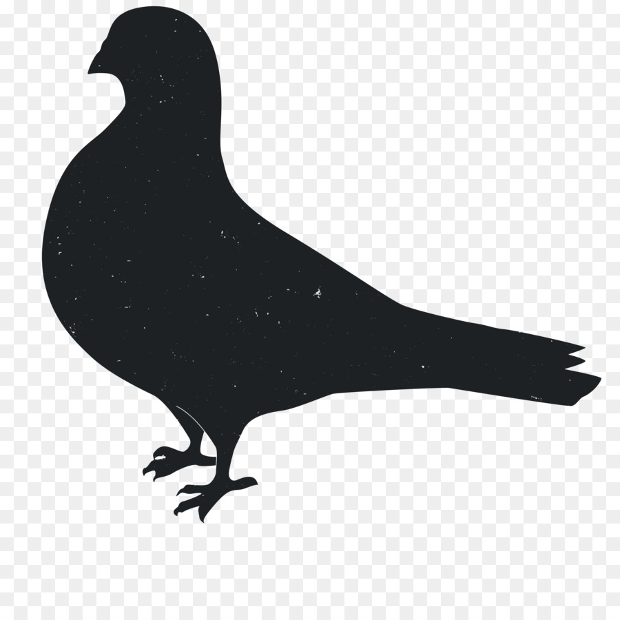 Silhouette Animal Columbidae - Animal Silhouettes png download - 3600*3600 - Free Transparent Silhouette png Download.