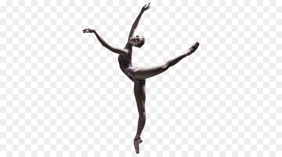 Performing arts Dance The arts - ballerinas png download - 500*500 - Free Transparent Performing Arts png Download.