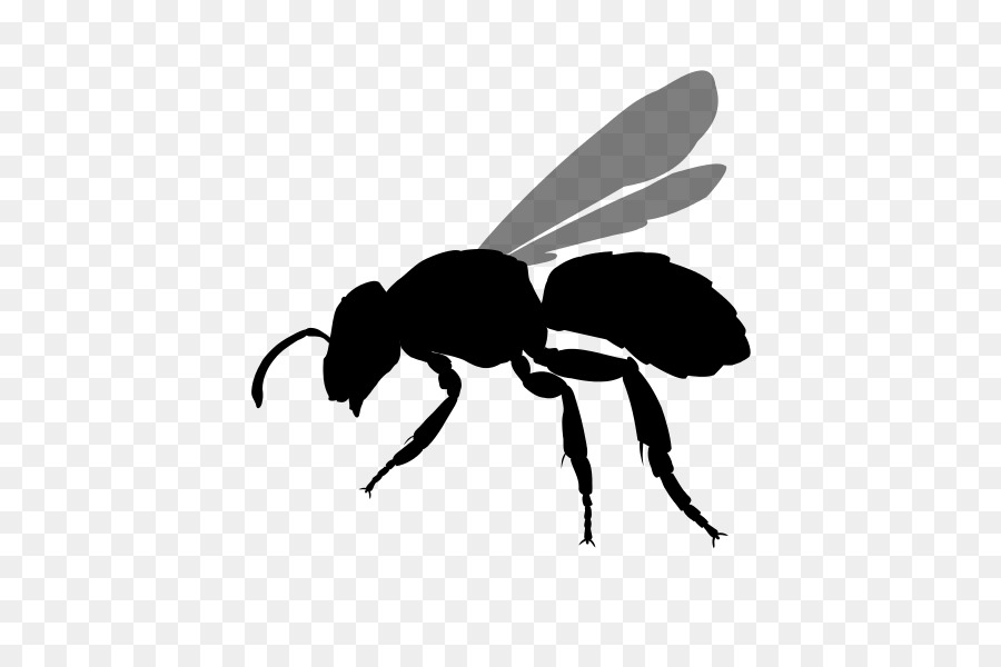Bee Hornet Insect Yellowjacket - bee png download - 490*600 - Free Transparent Bee png Download.