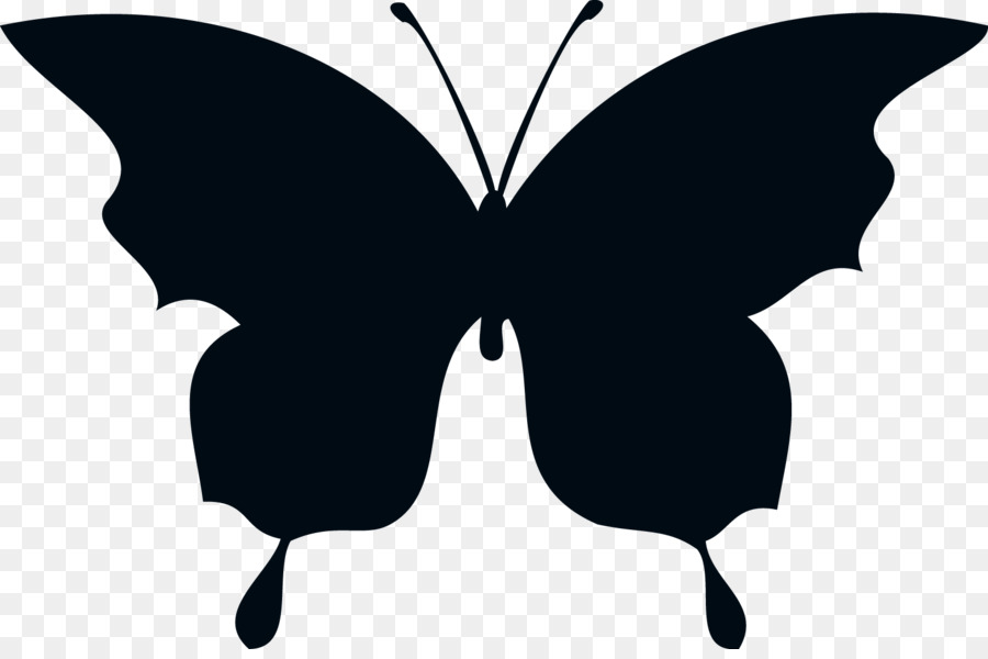 Butterfly Silhouette Drawing Clip art - silhouettes png download - 1565*1027 - Free Transparent Butterfly png Download.