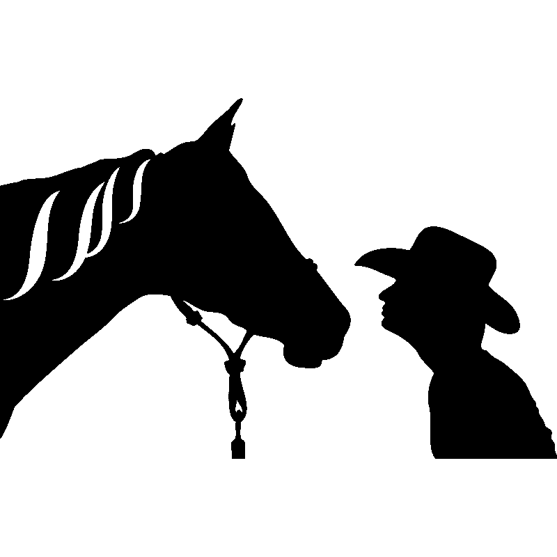 Silhouette Horse Cowboy hat - Silhouette png download - 800*800 - Free ...