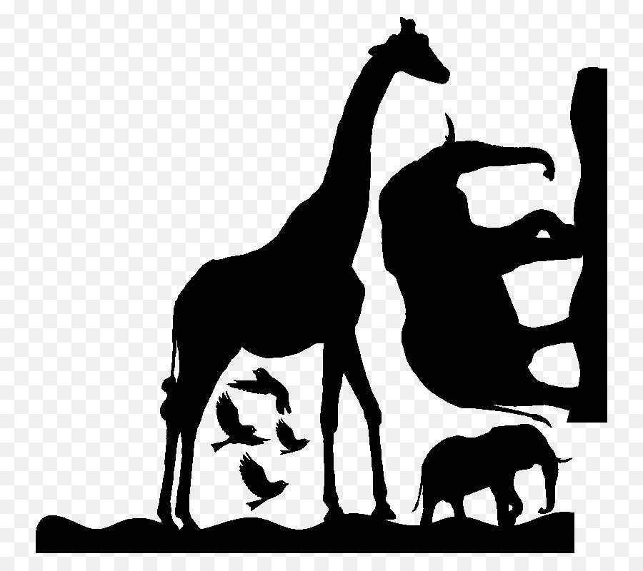 Giraffe Silhouette Mustang Gazelle - giraffe png download - 800*800 - Free Transparent Giraffe png Download.