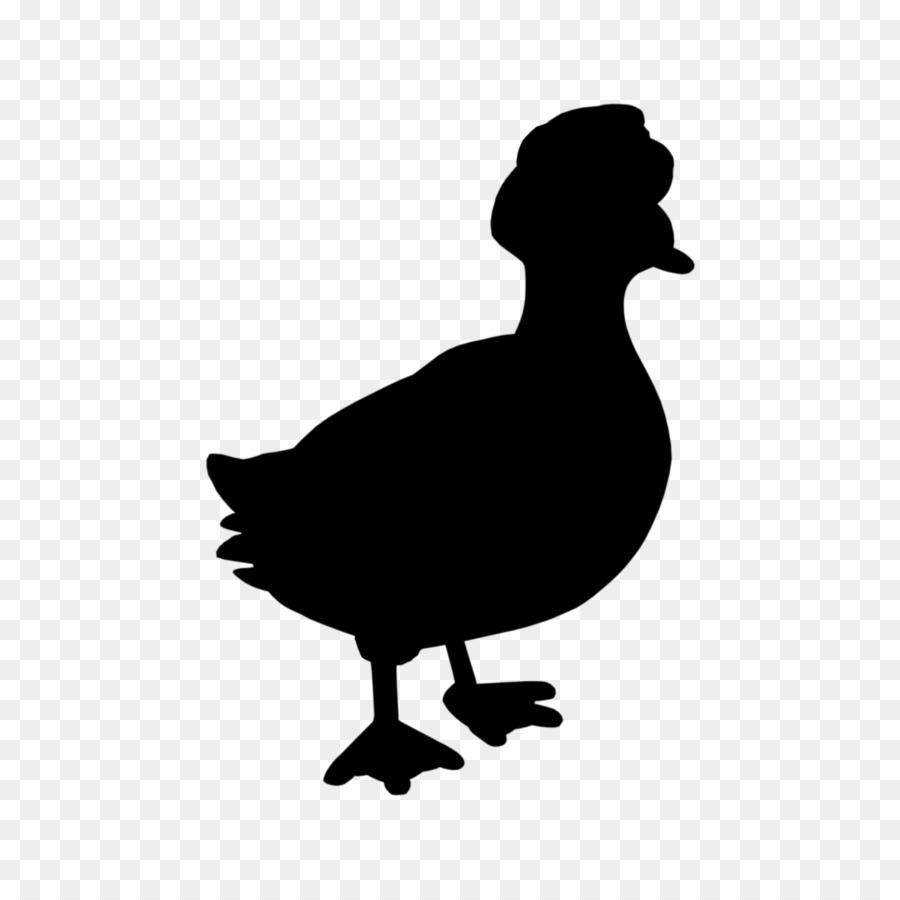 Duck Goose Clip art Silhouette Fauna -  png download - 1024*1024 - Free Transparent Duck png Download.