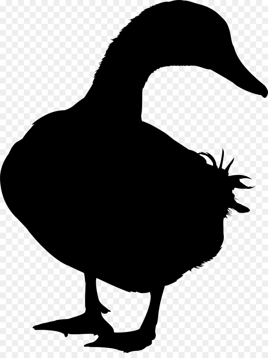Duck Goose Silhouette Vector graphics Image -  png download - 2429*3194 - Free Transparent Duck png Download.