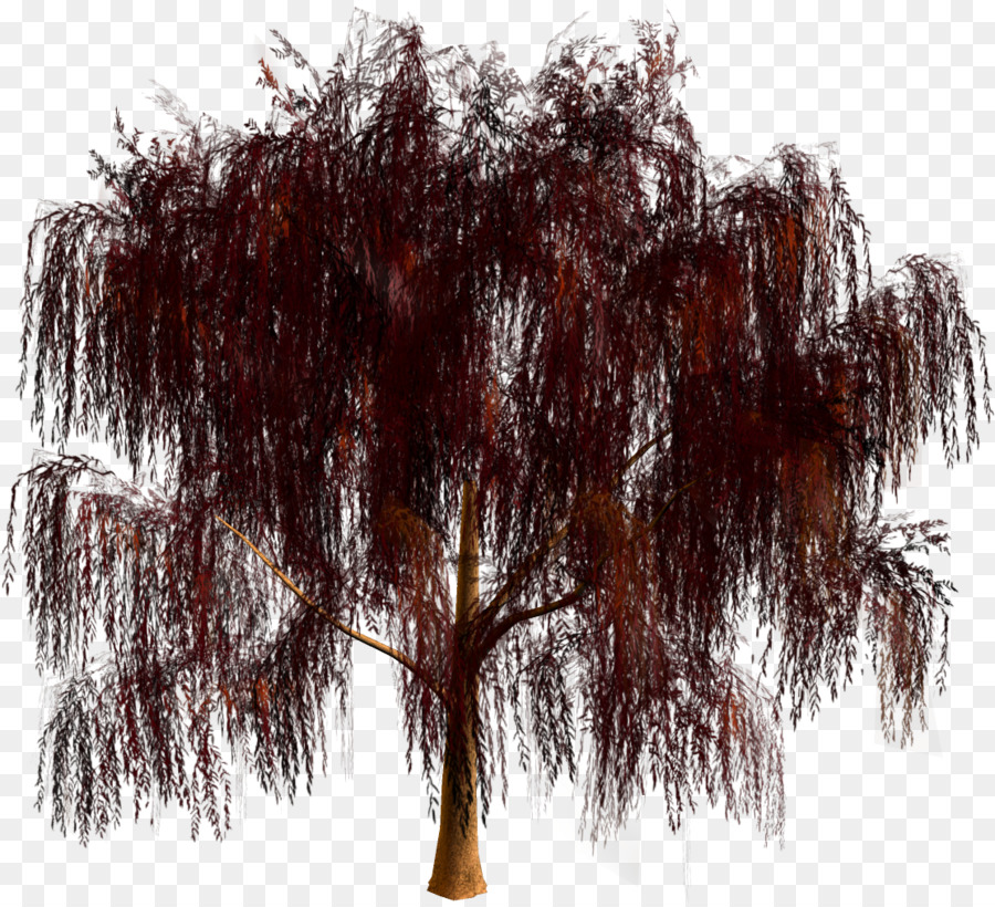 Tree Forest Clip art - tree png download - 1113*1009 - Free Transparent Tree png Download.