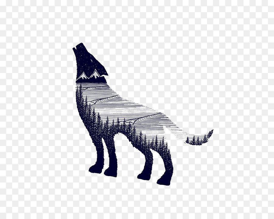 Gray wolf Drawing Art Tattoo Illustration - Wolf Free buckle elements png download - 564*711 - Free Transparent Gray Wolf png Download.