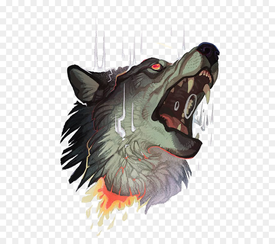 Gray wolf Tattoo Drawing - Wolf png download - 564*789 - Free Transparent Gray Wolf png Download.