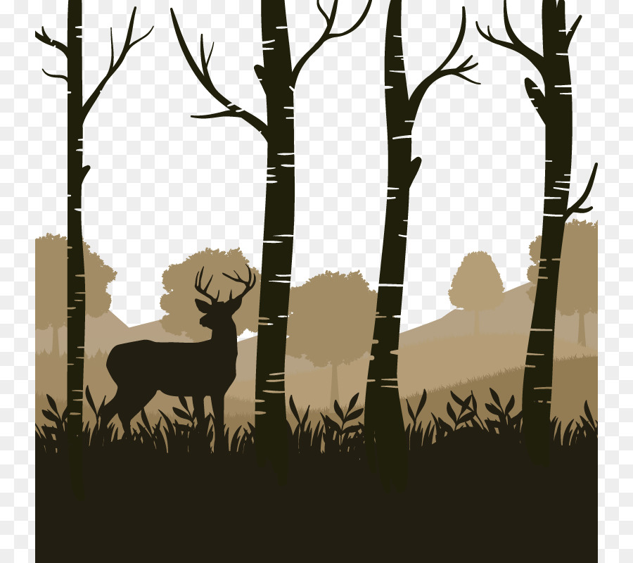 Silhouette Tree Download - Ecological Forest png download - 800*800 - Free Transparent Silhouette png Download.