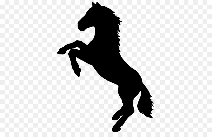 Horse Stallion Rearing Silhouette - horse png download - 450*563 - Free Transparent Horse png Download.