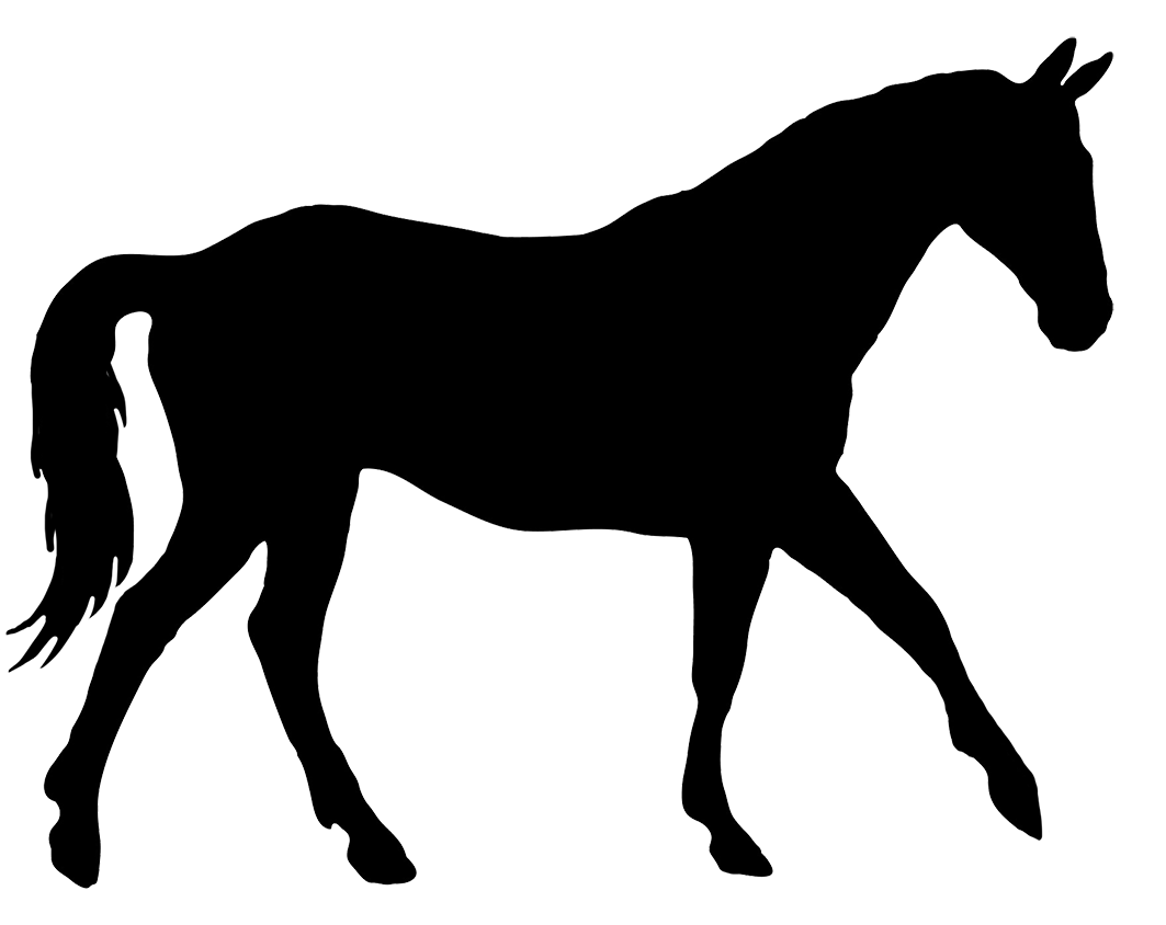horse cbd dosage chart
