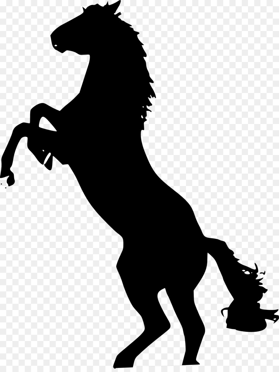 Mustang Stallion The behaviour of the horse Clip art - silhouettes png download - 1646*2174 - Free Transparent Mustang png Download.