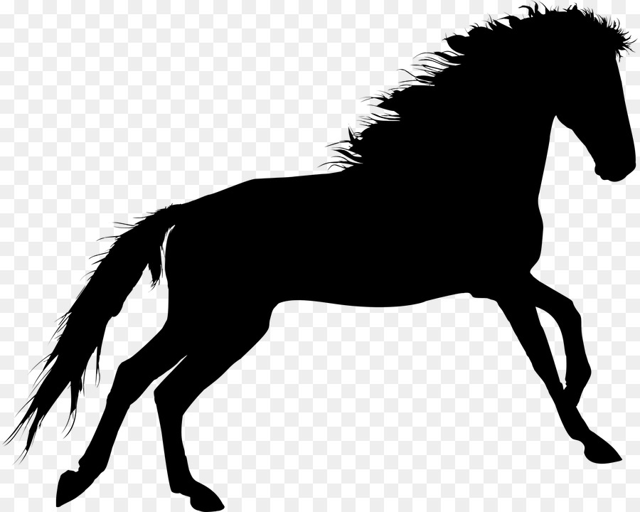 Horse Silhouette Pleasure riding Clip art - horse png download - 894*720 - Free Transparent Horse png Download.