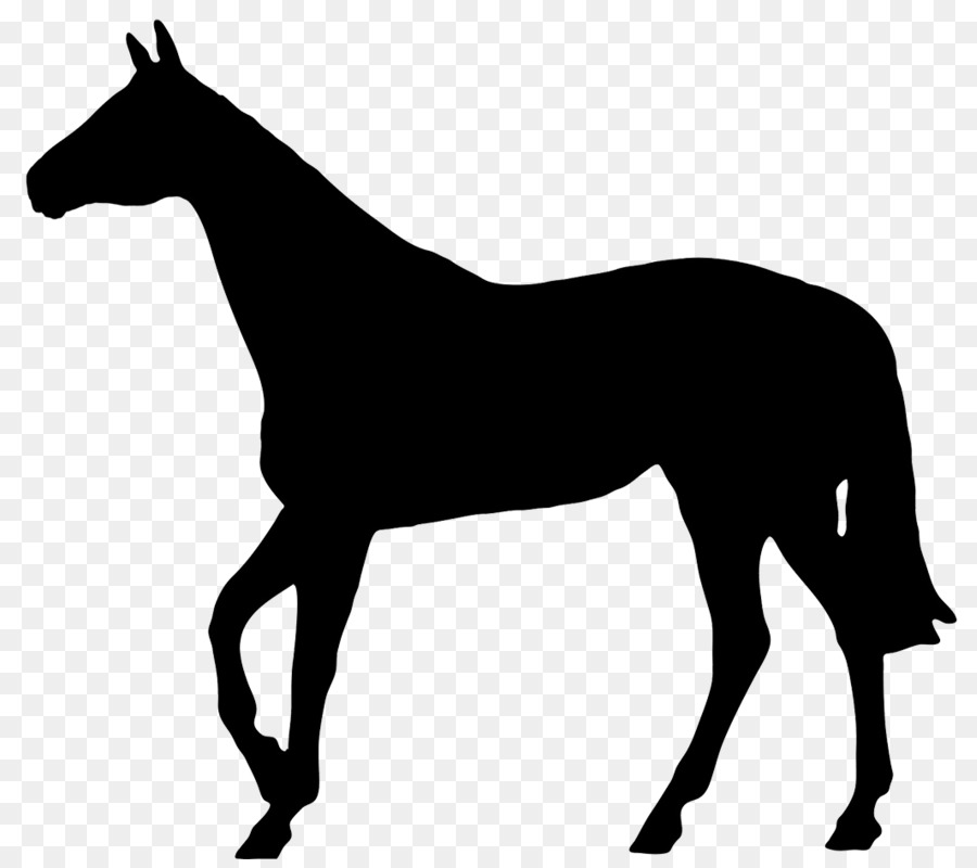 Thoroughbred Pony Silhouette Horse racing - horseshoe png download - 1063*936 - Free Transparent Thoroughbred png Download.
