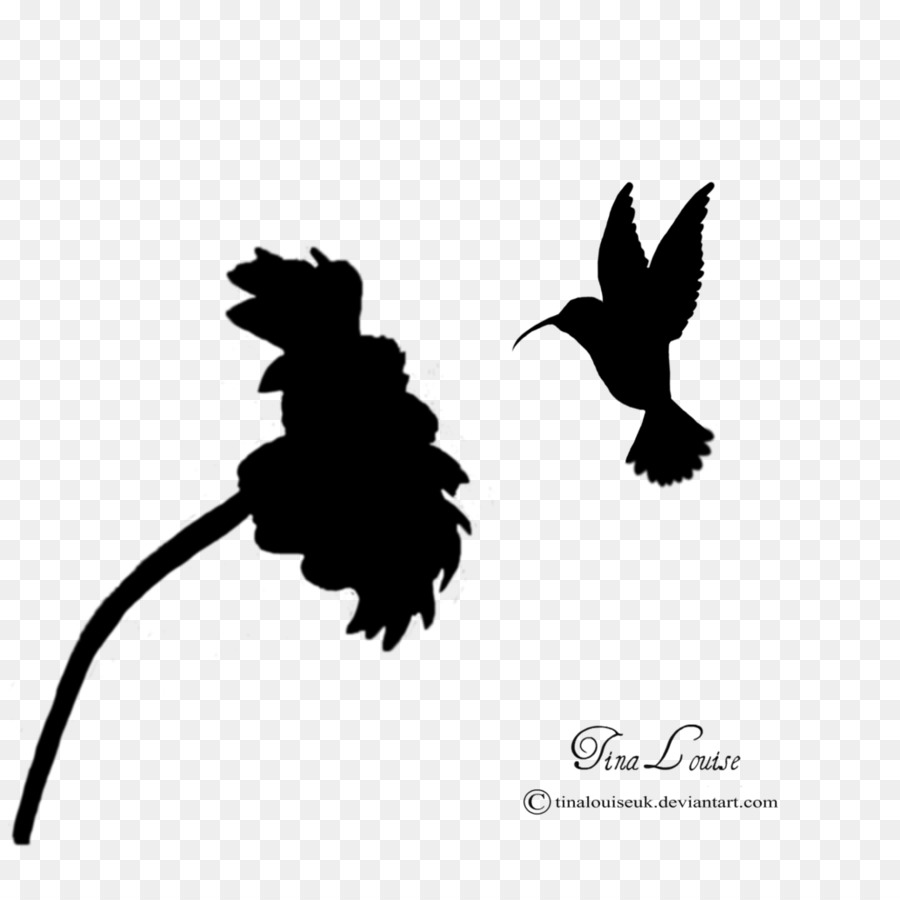 Hummingbird Silhouette Flower Photography - Hummingbird png download - 894*894 - Free Transparent Hummingbird png Download.