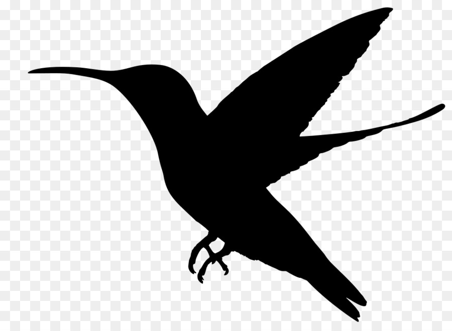 Hummingbird Silhouette Clip art - Bird png download - 1000*724 - Free Transparent Hummingbird png Download.