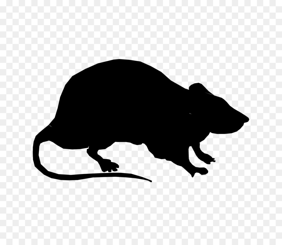 Laboratory rat Silhouette Black rat Clip art - Silhouette png download - 768*768 - Free Transparent Laboratory Rat png Download.