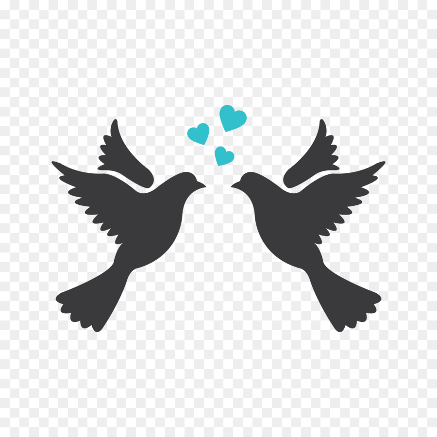 Drawing two cute birds in love Royalty Free Vector Image