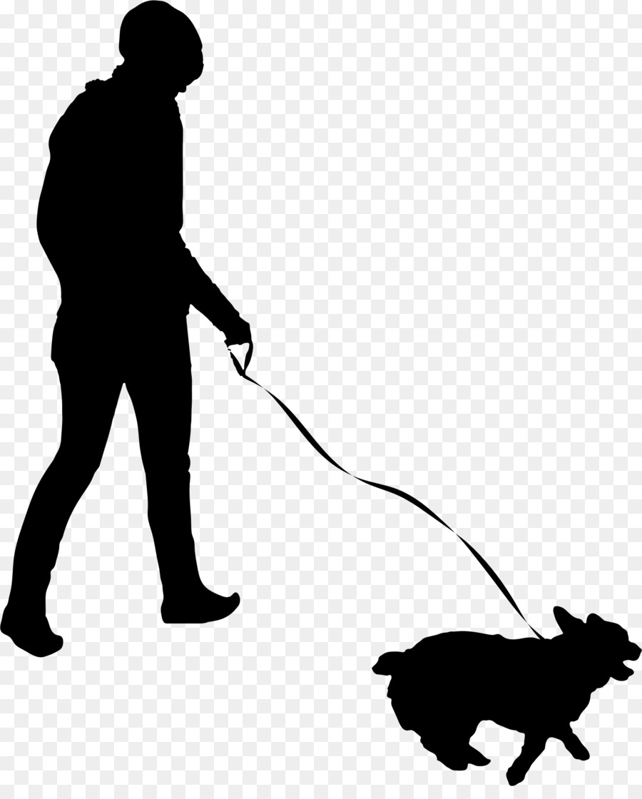 Pet sitting Dog walking Flyer - walk png download - 1818*2226 - Free Transparent Pet Sitting png Download.