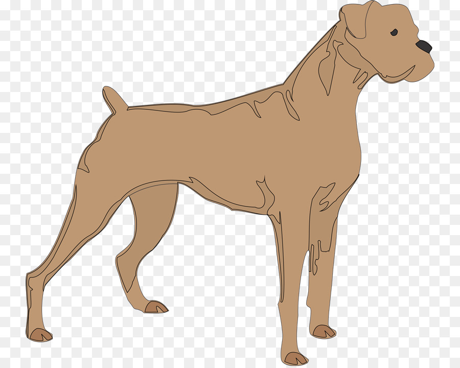 Boxer Jack Russell Terrier Silhouette Pet Clip art - MASCOTAS png download - 800*716 - Free Transparent Boxer png Download.
