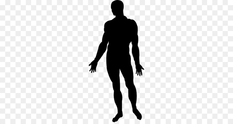 Human body Silhouette Homo sapiens Photography - Silhouette png download - 1200*630 - Free Transparent Human Body png Download.