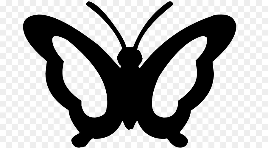 Silhouette Clip art - Butterfly Silhouette png download - 900*500 - Free Transparent Silhouette png Download.