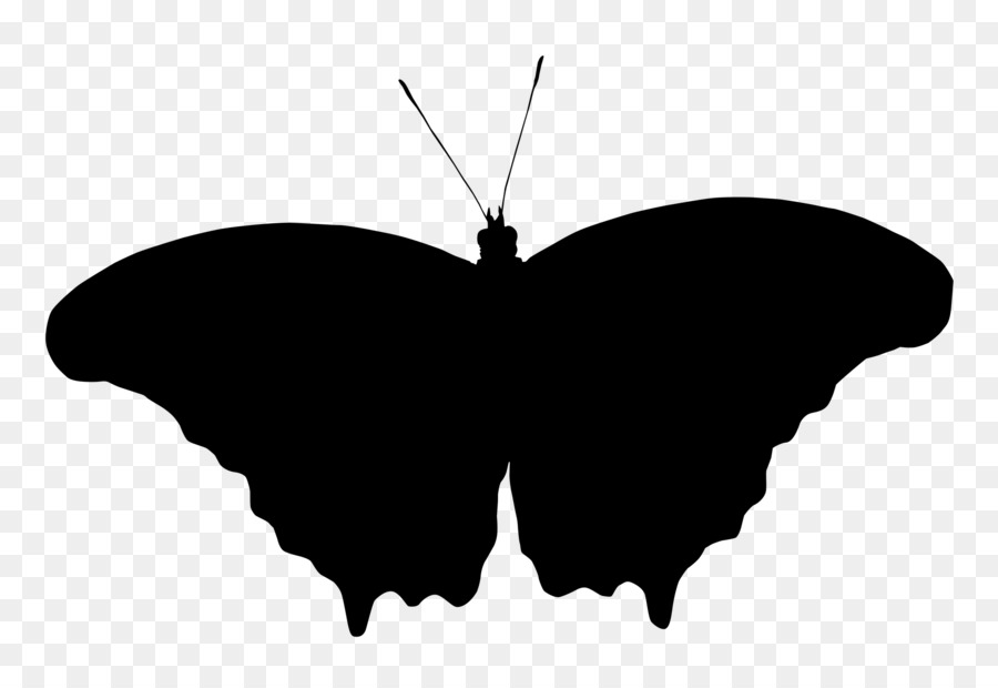 Brush-footed butterflies Silhouette M. Butterfly Black M -  png download - 1928*1305 - Free Transparent Brushfooted Butterflies png Download.