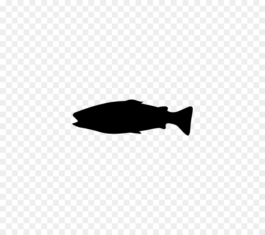 Fish Silhouette - fish png download - 566*800 - Free Transparent Fish png Download.