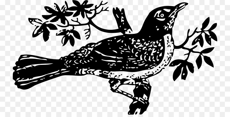 To Kill a Mockingbird Drawing Clip art - tree-bird png download - 800*451 - Free Transparent To Kill A Mockingbird png Download.